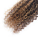 P4/27 Highlight Human Hair Bundles – Brown & Honey Blonde